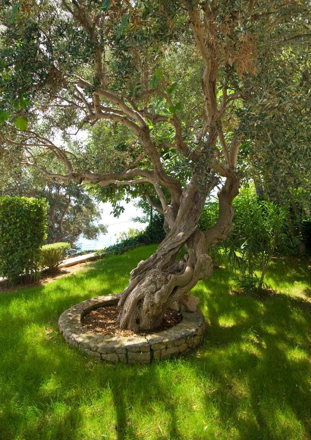 Holiday Home Duje Traù Esterno foto